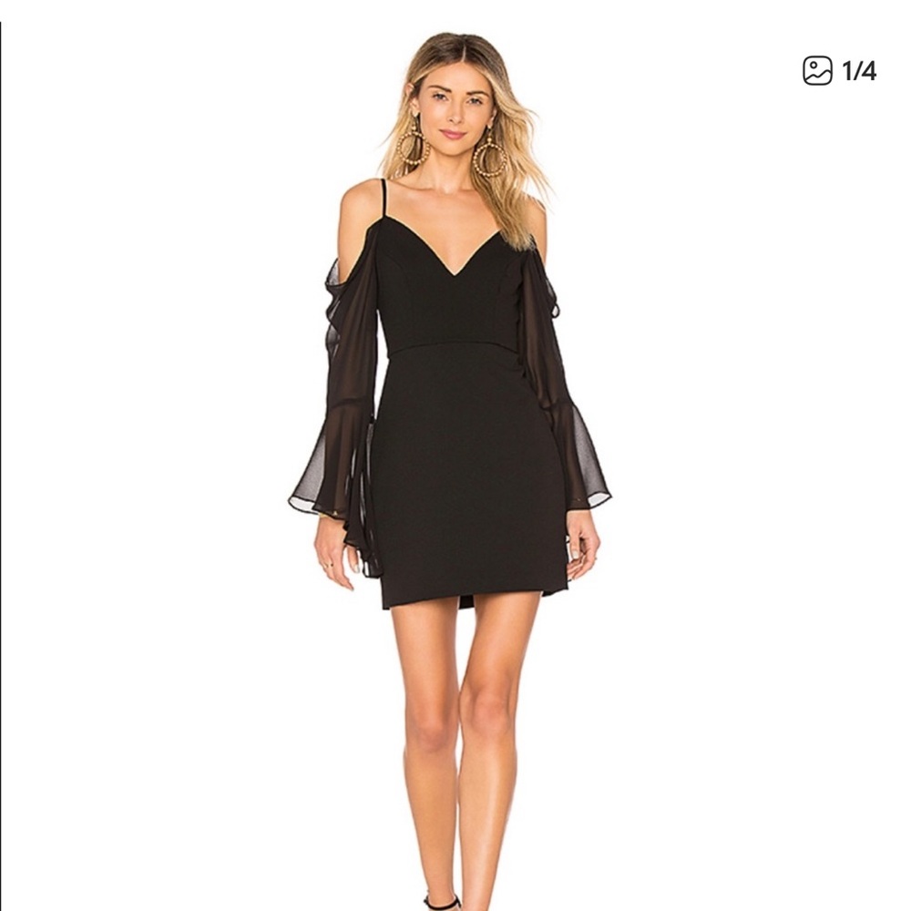 BCBGMaxAzria Black Mini Dress with Sheer Sleeves